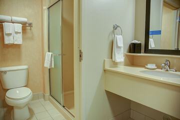 Bathroom shower