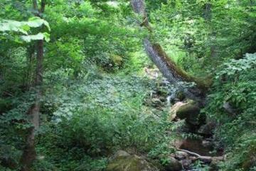 Photo 34