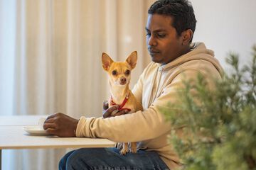 Pet-friendly