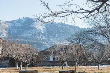 Photo 46