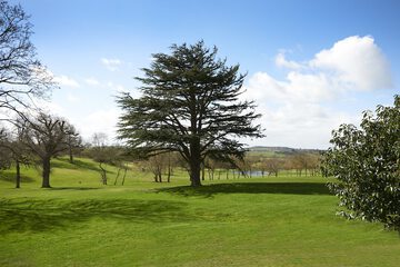 Golf view