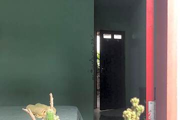 Photo 40