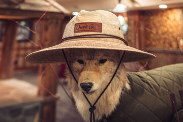 Gift shop