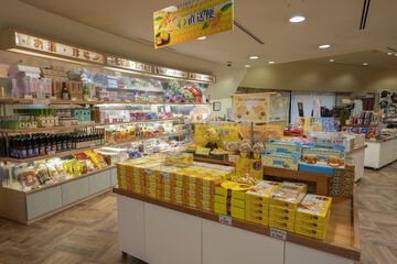 Gift shop