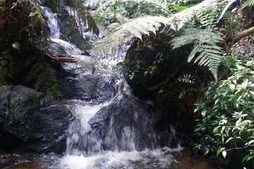 Hiking