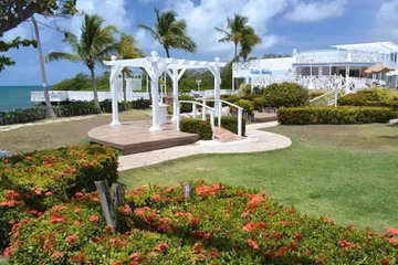 Outdoor wedding area