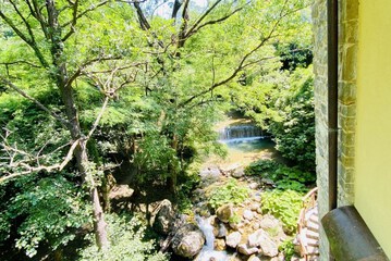 View from room