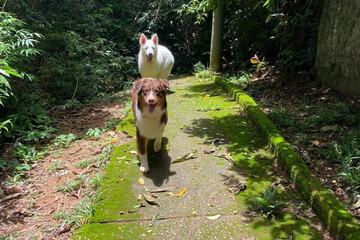 Ecotours