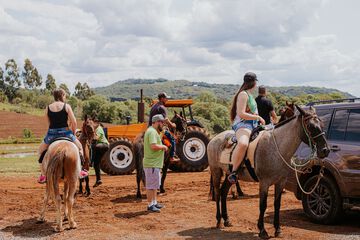 Horseback riding