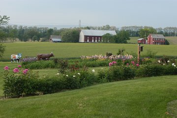 Property Grounds 60 of 62