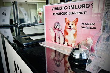 Pet-friendly