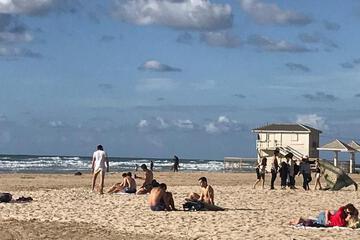 Photo 42
