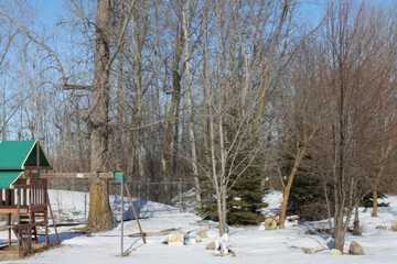 Property grounds