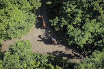 Horseback riding