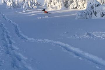 Snowshoeing