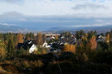 Photo 16