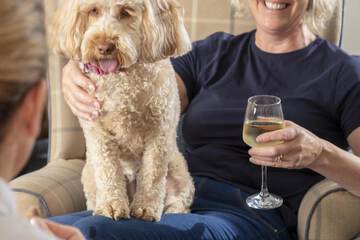 Pet-friendly