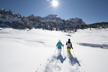 Snowshoeing