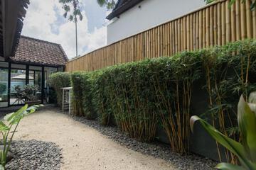 Photo 43