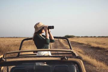 Safari