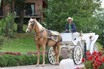 Horseback riding