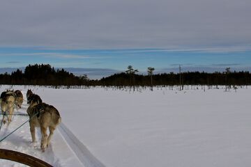 Ecotours