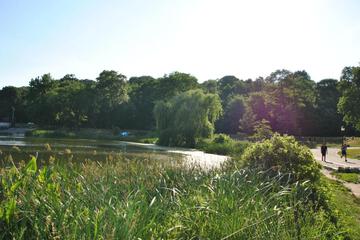 Photo 28
