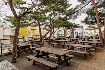 BBQ/picnic area