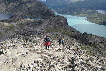 Photo 28