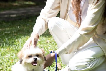 Pet-friendly