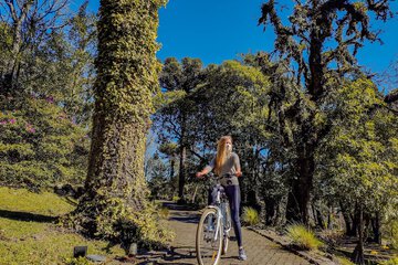 Bicycling