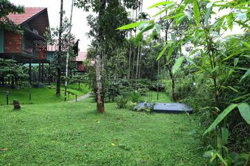 Children's activities