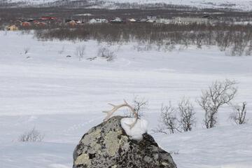 Photo 35