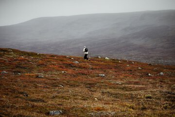 Hiking