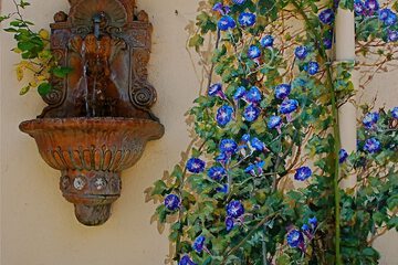 Fountain