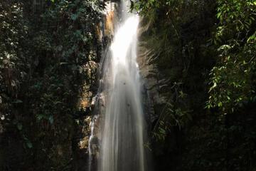 Photo 29
