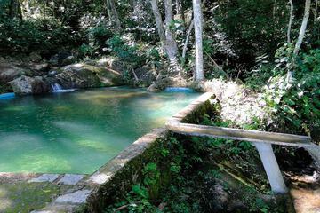 Natural pool