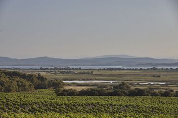 Land view from property