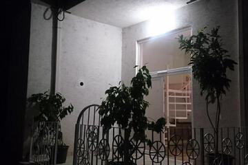 Photo 81