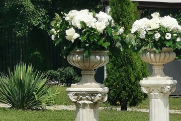 Outdoor wedding area