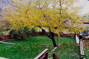 outside