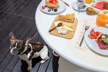 Pet-friendly