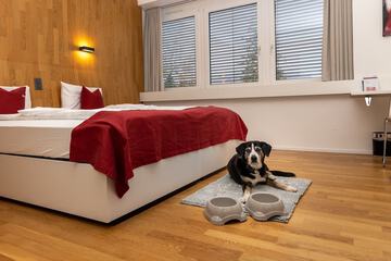 Pet-friendly