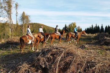 Horseback riding
