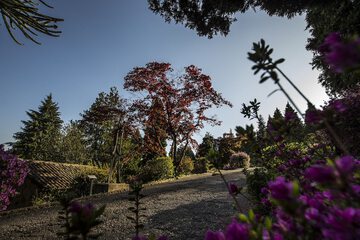 Land view from property
