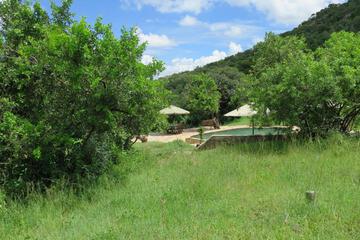 Photo 26