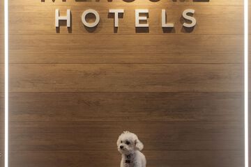 Pet-friendly amenities