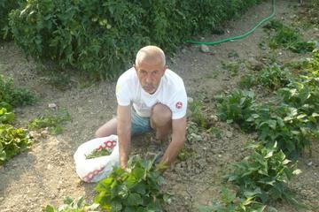 Photo 44