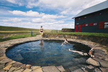 Natural pool