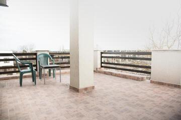 Photo 50